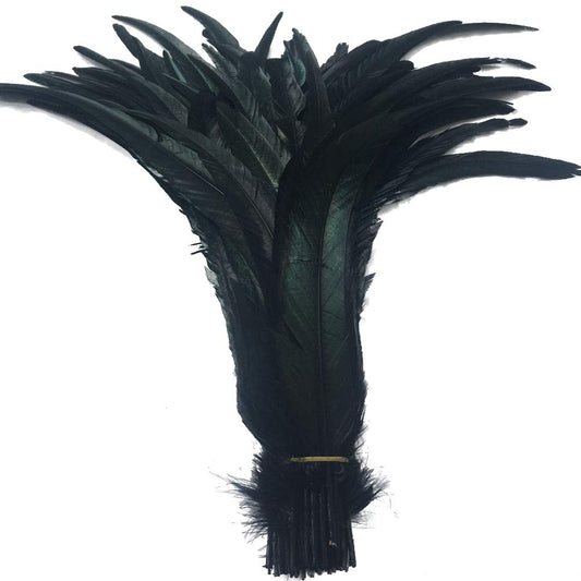 Shekyeon 16-18inch 40-45cm Rooster Coque Tail Feather for Costume Decoration Pack of 20 (Black)